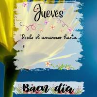 Quinta-feira
"Desde o nascer até o pôr do sol, que o nome do Senhor seja louvado."
Salmos 113,3
Bom dia bom dia, quinta-feira Salmos 113:3