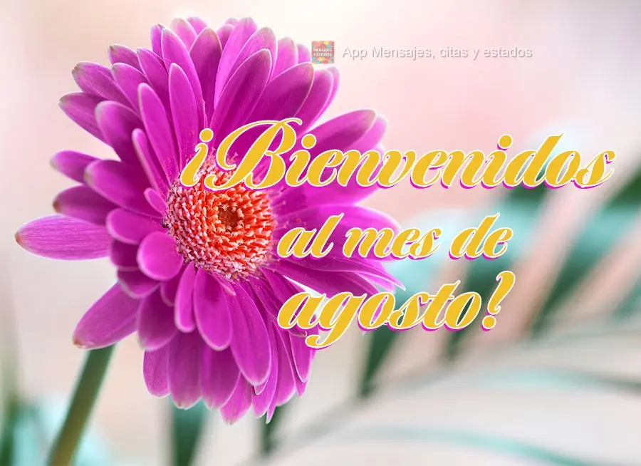 ¡Bienvenidos al mes de agosto!