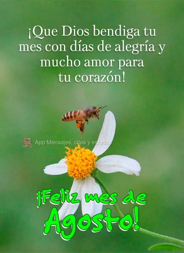 ¡Que Dios bendiga tu mes con días de alegría y mucho amor para tu corazón! ¡Feliz mes de agosto!