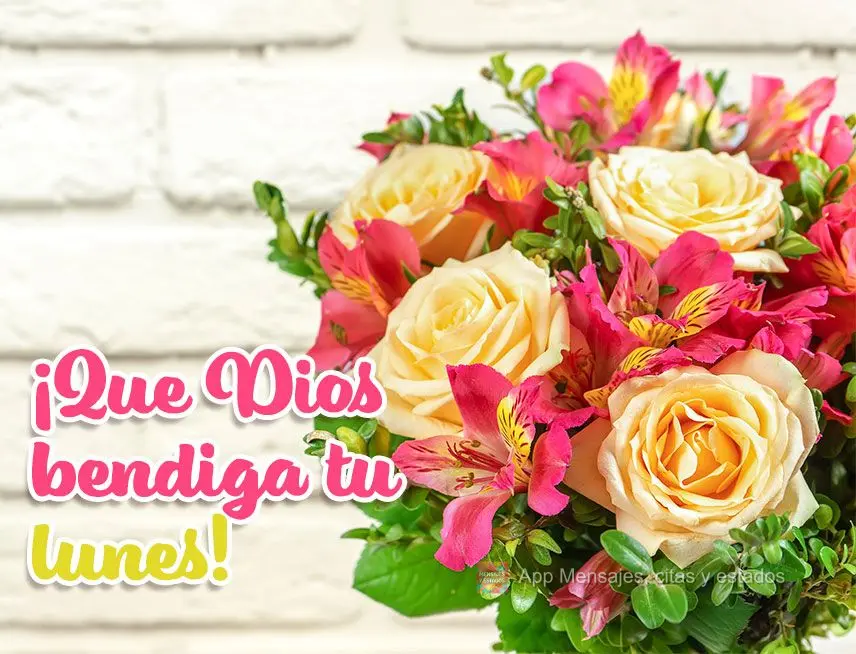 Que Deus abençoe a sua Segunda-feira!