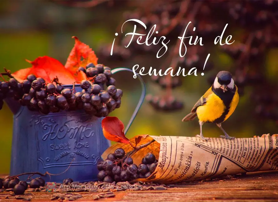 ¡Feliz fin de semana!