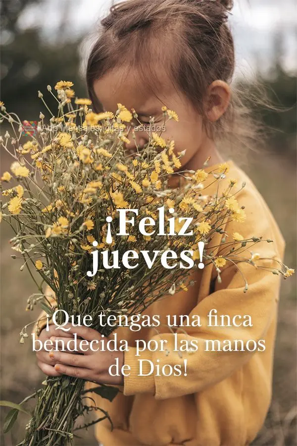 ¡Que tengas un jueves bendecido por las manos de Dios! ¡Feliz jueves!