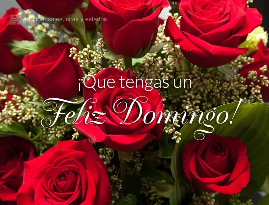 ¡Que tengas un feliz domingo!