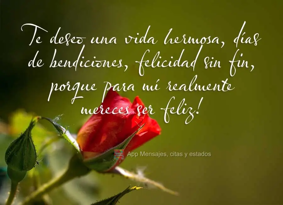 Eu desejo uma vida bela, dias de bênçãos, felicidade sem fim, porque para mim você merece muito ser feliz!
