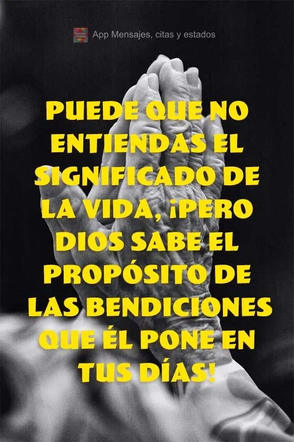 Puede que no entiendas el significado de la vida, ¡pero Dios sabe el propósito de las bendiciones que Él pone en tus días!