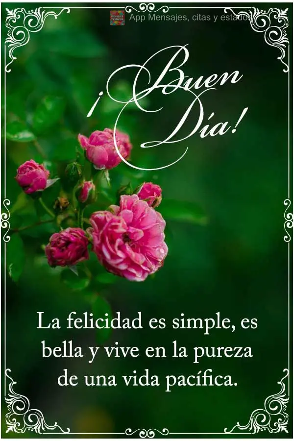 A felicidade é simples, é bela e mora na pureza de uma vida tranquila. Bom dia! 