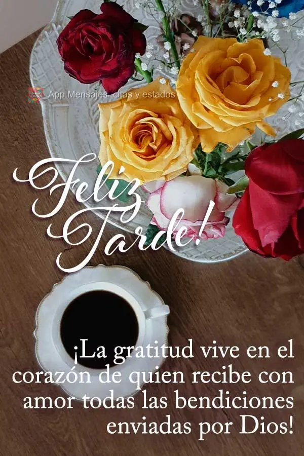 A gratidão mora no coração de quem recebe com amor todas as bênçãos enviadas por Deus! Feliz tarde!
