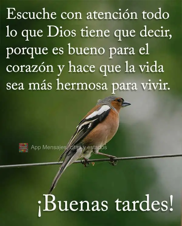 Ouça com atenção tudo aquilo que Deus tem pra dizer, porque faz bem ao coração, e faz da vida mais bonita de se viver! Boa tarde!