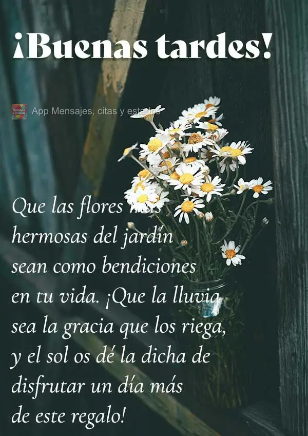 Que as flores mais belas do jardim sejam como bênçãos na sua vida. Que a chuva seja graça que as rega, e o sol lhe dê a felicidade por apreciar essa...