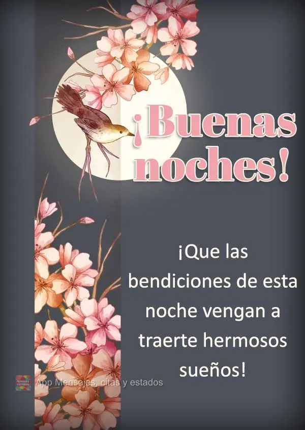 Que as bênçãos desta noite venham para lhe trazer lindos sonhos! Boa noite! 