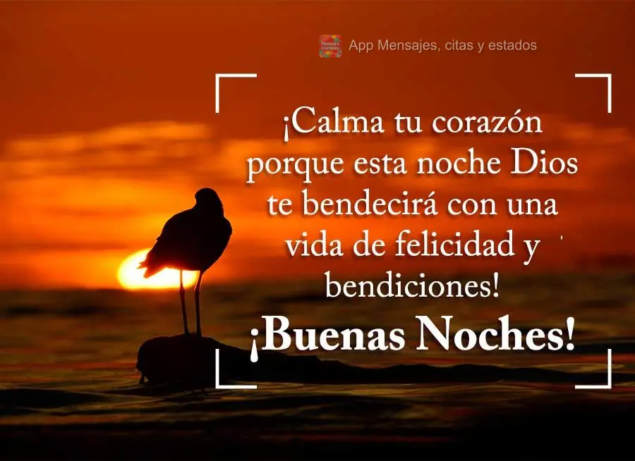 ¡Calma tu corazón porque esta noche Dios te bendecirá con una vida de felicidad y bendiciones! ¡Buenas noches!