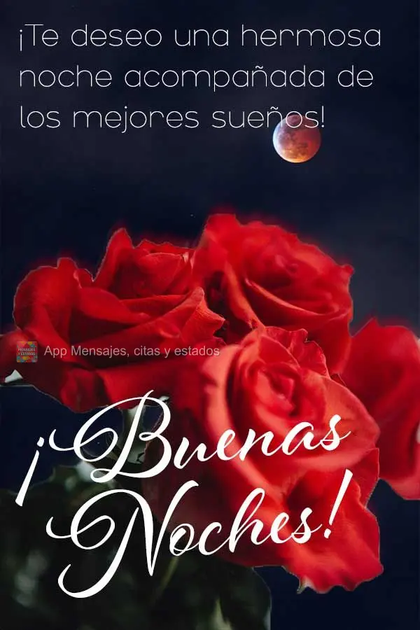 Desejo uma linda noite acompanhado dos melhores sonhos! Boa noite! 