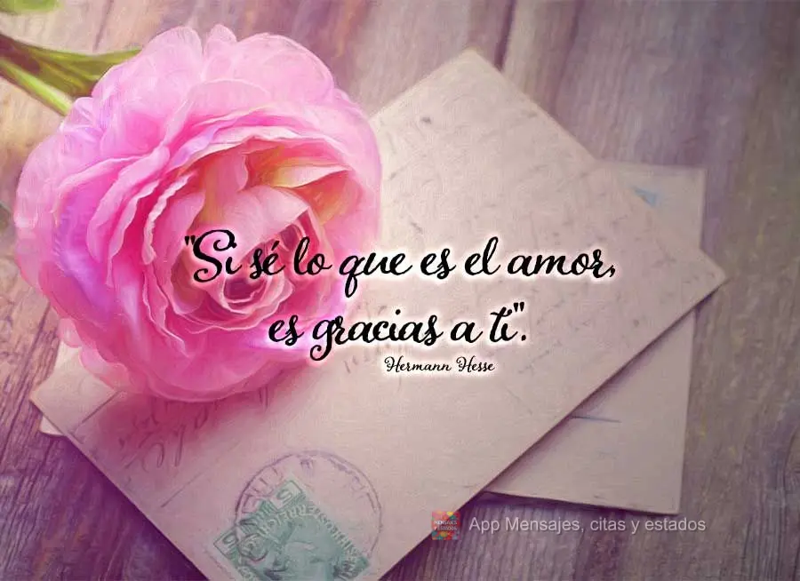 "Si sé lo que es el amor, es gracias a ti". Hermann Hesse