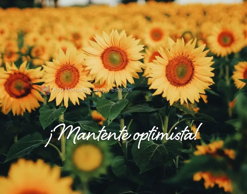 Se mantenha otimista!