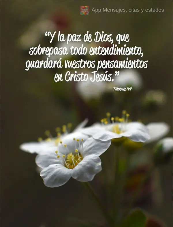 “Y la paz de Dios, que sobrepasa todo entendimiento, guardará vuestros pensamientos en Cristo Jesús.” Filipenses 4.7