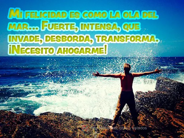 Minha felicidade é como a onda do mar... Forte, intensa, que invade, transborda, transforma. Preciso me afogar!
