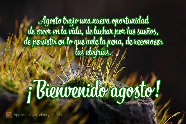 Agosto trajo una nueva oportunidad de creer en la vida, de luchar por tus sueños, de persistir en lo que vale la pena, de reconocer las alegrías. ¡Bie...