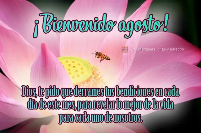Dios, te pido que derrames tus bendiciones en cada día de este mes, para revelar lo mejor de la vida para cada uno de nosotros. ¡Bienvenido agosto!