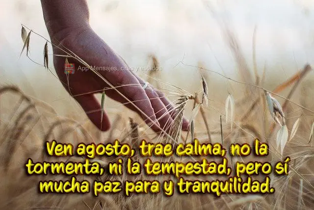 Vem agosto, traz calmaria, nem tempestade nem ventania, mas muita paz para os nossos dias.
