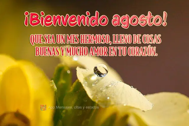 Que seja um lindo mês, cheio de coisas boas e muito amor no coração.
 Bem vindo, agosto!