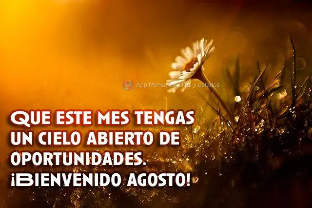Que este mes tengas un cielo abierto de oportunidades. ¡Bienvenido agosto!