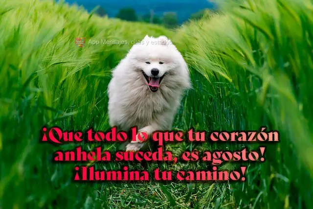 Que tudo o que o seu coração deseja aconteça, é agosto! Luz no seu caminho!
