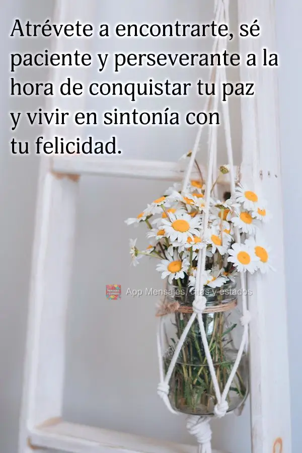 Ouse na hora de encontrar a si mesmo, seja paciente e perseverante quando se trata de conquistar a sua paz e viver em sintonia com sua felicidade.