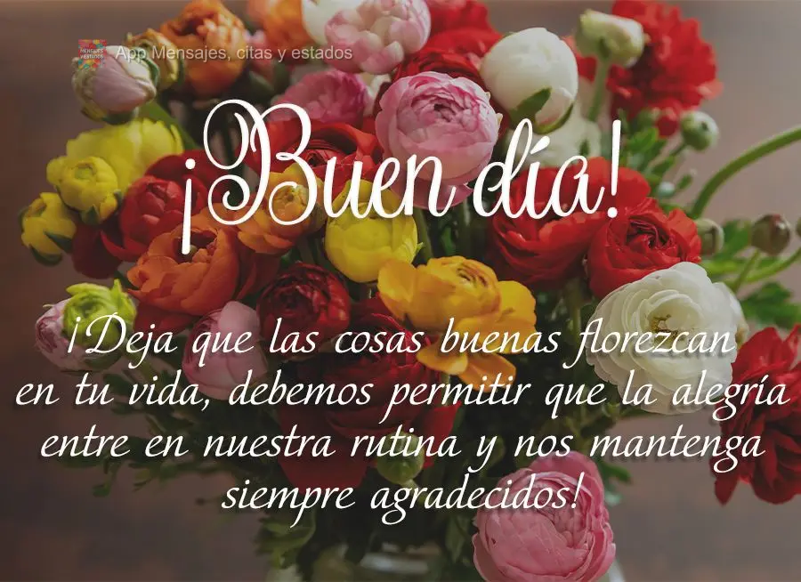 Deixe florescer as coisas boas na sua vida, a gente deve permitir que a alegria entre na nossa rotina e nos mantenha sempre com gratidão! Bom dia! 