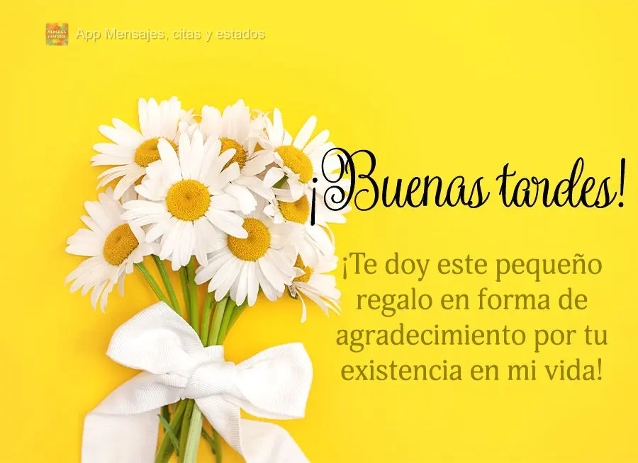 ¡Te doy este pequeño regalo en forma de agradecimiento por tu existencia en mi vida! ¡Buenas tardes!
