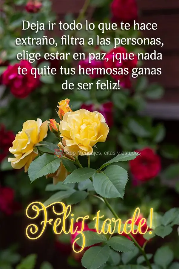 Desapegue de tudo que lhe causa estranheza, filtre pessoas, escolha estar em paz, não deixe nada tirar essa sua linda vontade de ser feliz!  Feliz tarde...