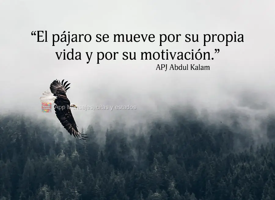 “El pájaro se mueve por su propia vida y por su motivación.” APJ Abdul Kalam