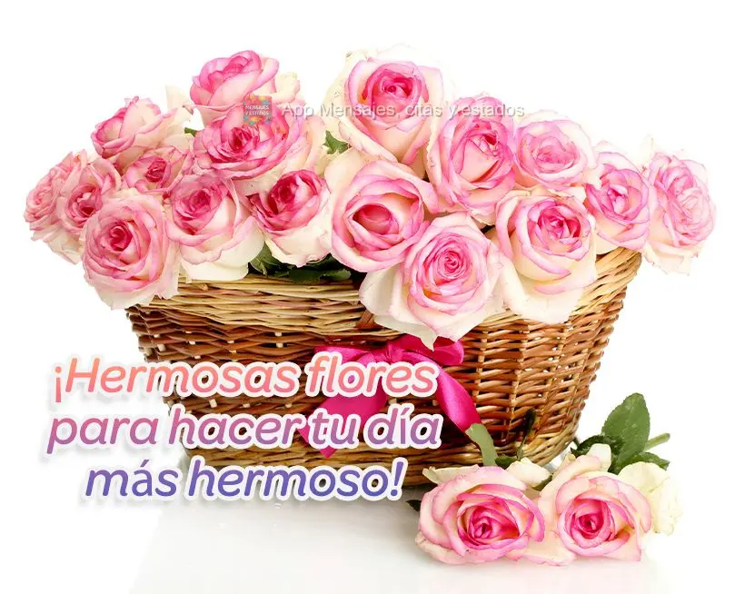 ¡Hermosas flores para hacer tu día más hermoso!