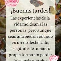 As experiências de vida moldam as pessoas, mas mesmo que você seja uma pedra rolando em um rio desgovernado, não deixe de tomar a sua própria forma s...