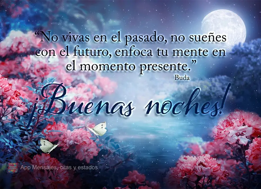 “No vivas en el pasado, no sueñes con el futuro, enfoca tu mente en el momento presente.” ¡Buenas noches! Buda