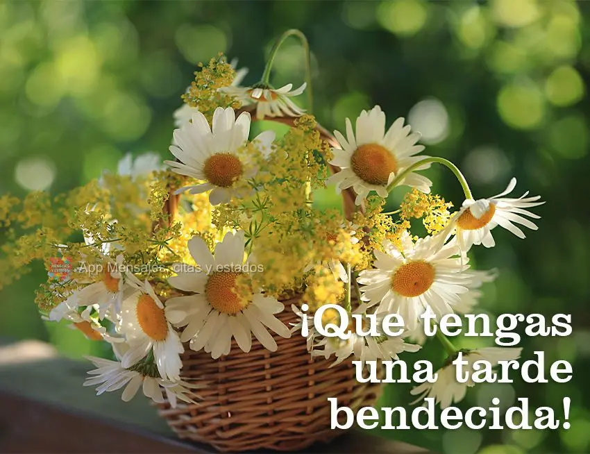 Tenha uma tarde abençoada!