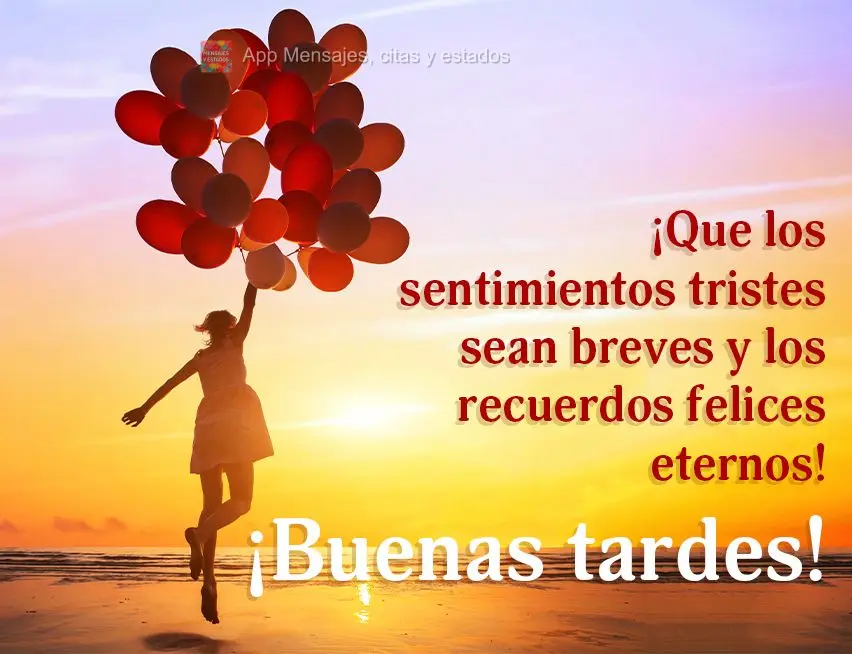 Que sejam breves os sentimentos tristes e eternas as lembranças felizes! Feliz tarde!