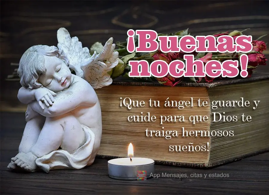 Que seu anjo te guarde e cuide com carinho para que Deus lhe traga lindos sonhos! Boa noite!