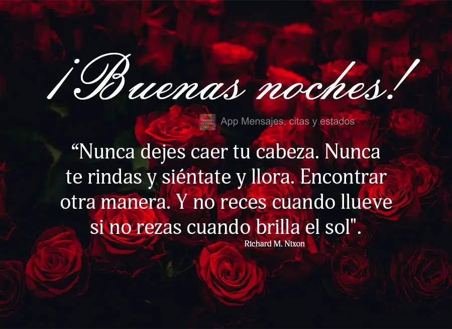 “Nunca dejes caer tu cabeza. Nunca te rindas y siéntate y llora. Encontrar otra manera. Y no reces cuando llueve si no rezas cuando brilla el sol". ¡...