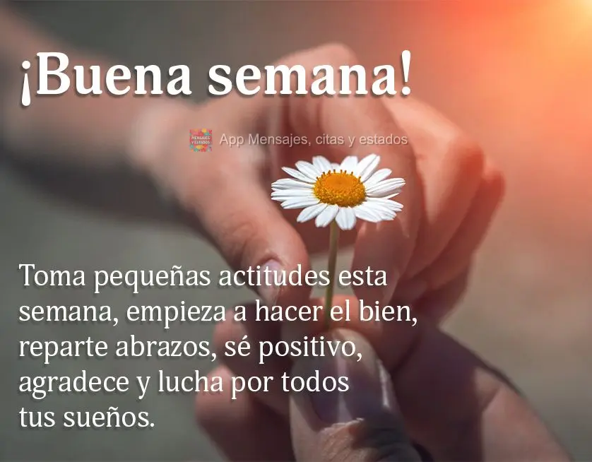 Tome pequenas atitudes nessa semana, comece fazendo o bem, distribuindo abraços, sendo positivo, agradecendo e lutando por todos os seus sonhos. Boa sem...