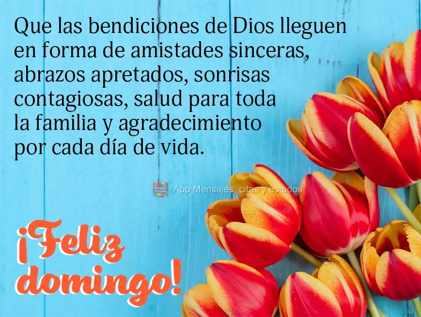 Que las bendiciones de Dios lleguen en forma de amistades sinceras, abrazos apretados, sonrisas contagiosas, salud para toda la familia y agradecimiento ...