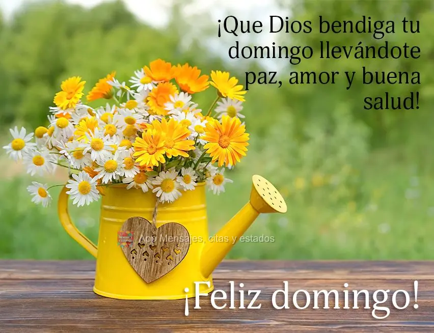 ¡Que Dios bendiga tu domingo llevándote paz, amor y buena salud! ¡Feliz domingo!