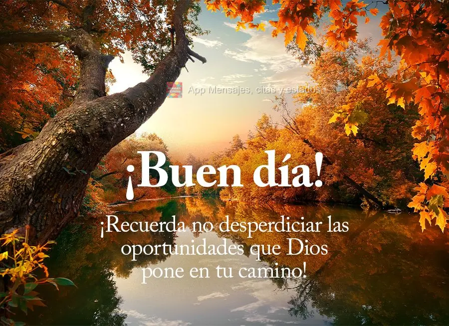 Lembre-se de não desperdiçar as oportunidades que Deus coloca em seu caminho! Bom dia!