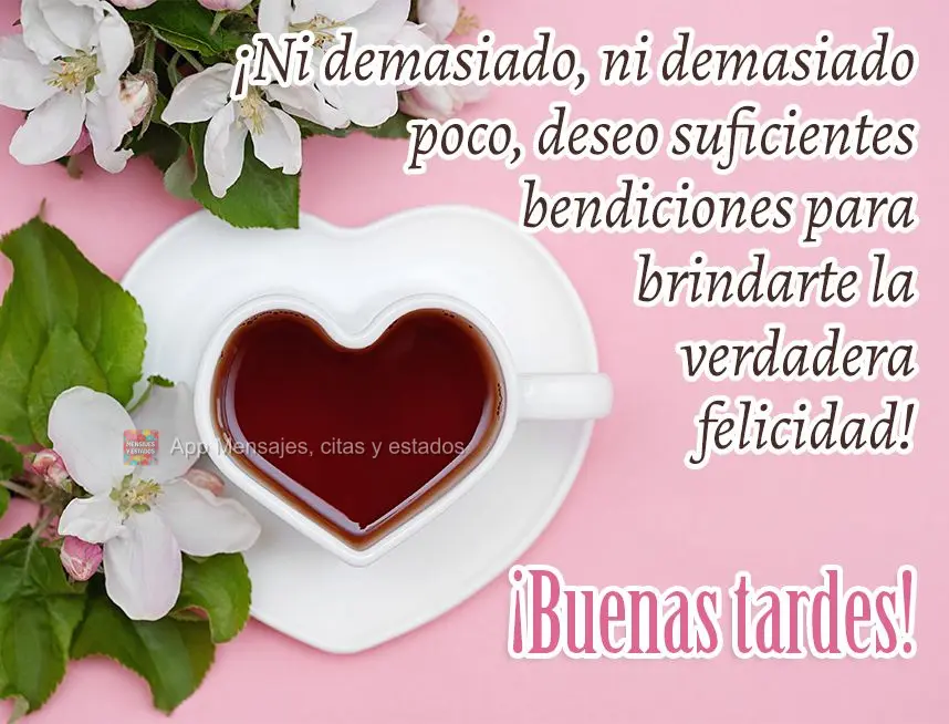 Nem muito, nem pouco, desejo bênção suficiente para lhe trazer a verdadeira felicidade! Boa tarde! 