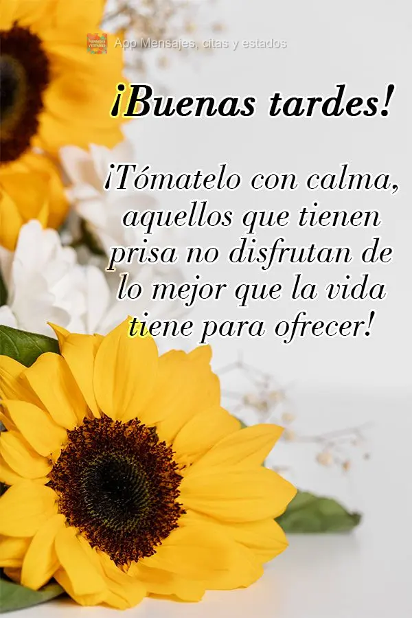 Vá com calma, quem tem pressa não aproveita o que a vida tem de melhor a oferecer! Boa tarde! 