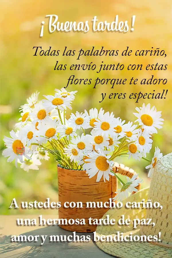 Todas as palavras de carinho, eu envio junto dessas flores porque te adoro e você é especial! Para você com amor, uma linda tarde de paz, amor e muita...
