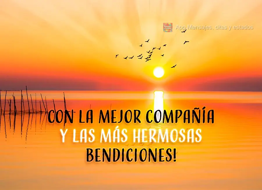 Com as melhores companhias e as bênçãos mais lindas! Desejo uma Feliz tarde! 