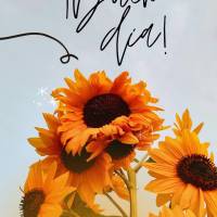 Que seu dia seja repleto de amor, paz e muita motivação! Bom dia!