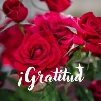 Gratidão por mais um dia de bênçãos!