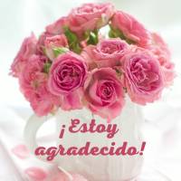 Sou grata! E levo comigo sempre coragem e determinação para que valha a pena toda a minha gratidão!