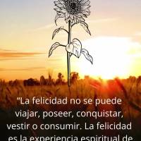 “A felicidade não pode ser viajada, possuída, conquistada, vestida ou consumida. A felicidade é a experiência espiritual de viver cada minuto com a...